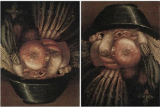 arcimboldo 2